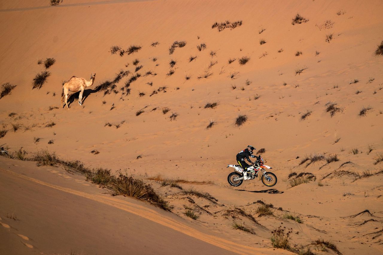 Alex McInnes, plate 21, riding across a dune past a camel